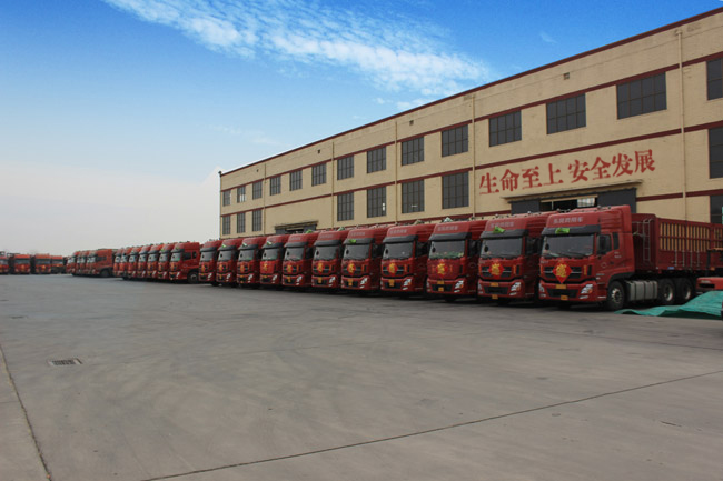 車隊(duì)展示 車隊(duì)展示